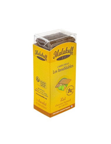 21 Carrés Délices Chocolat Lait Noisettes 110g.